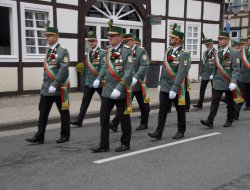sf sonntag 2025076